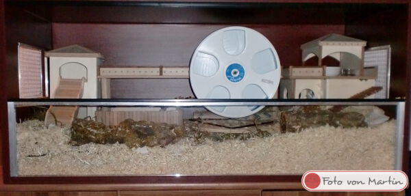 Die Mediterrane Einrichtung - Hamster Wohnwelt